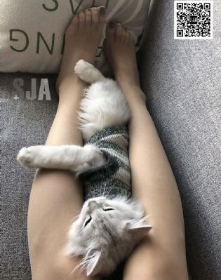 不良人第一季未删减全部观看_BD免费全集观看